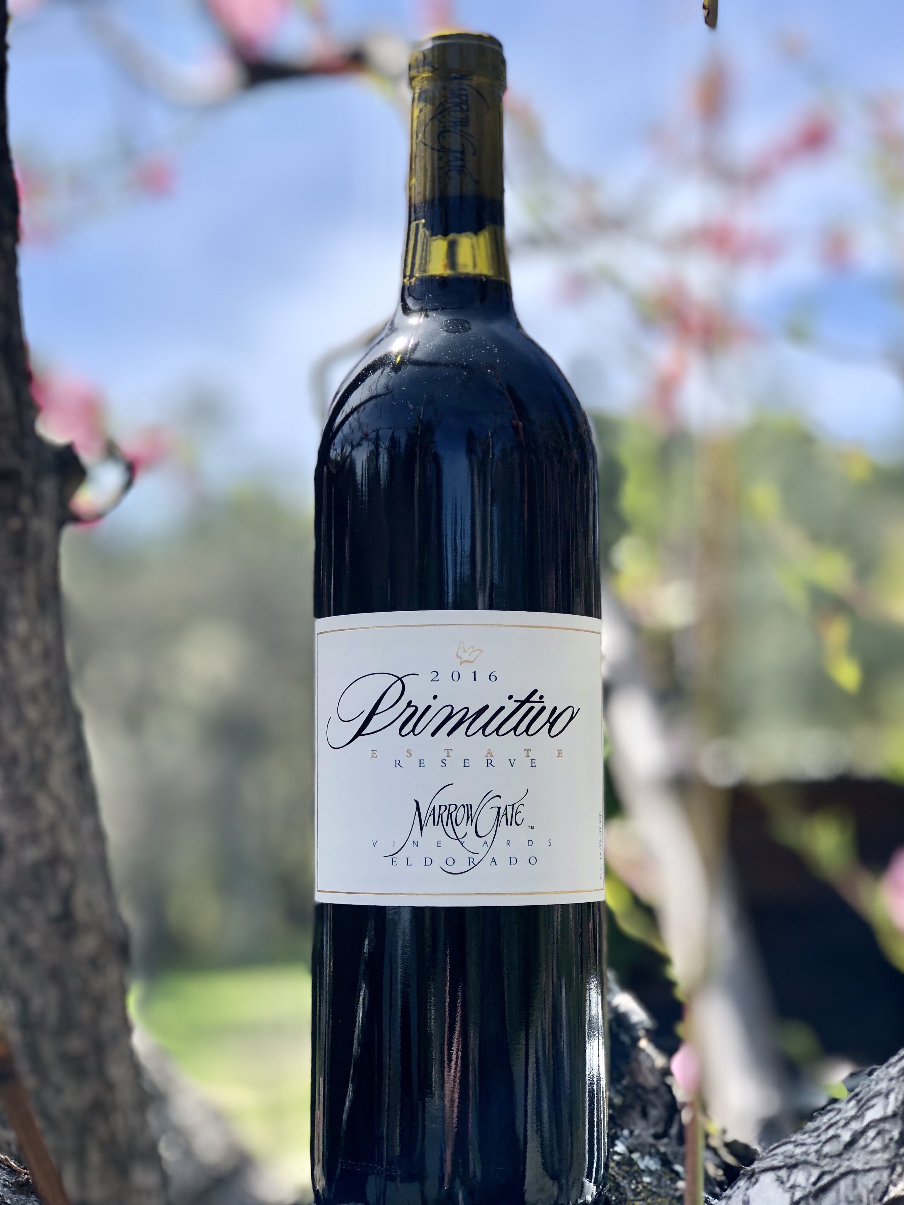 Product Image for 2016 Primitivo, Estate Library